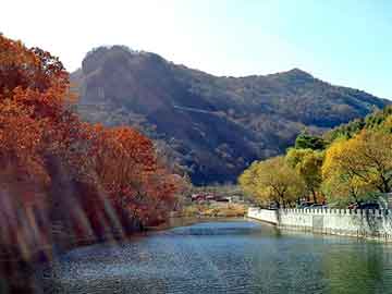 澳门天天彩期期精准平肖，北京线路板